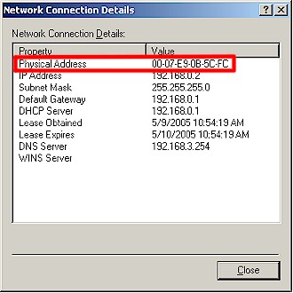 MAC address in Network Connection Details