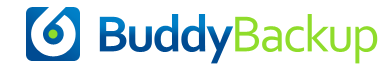 Buddy Backup logo