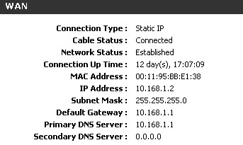 WAN status showing DNS server
