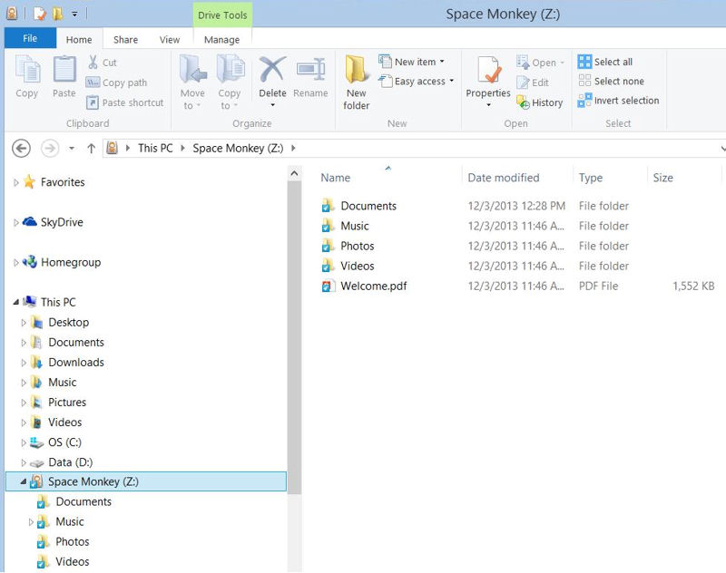Windows Explorer showing Space Monkey as drive Z: