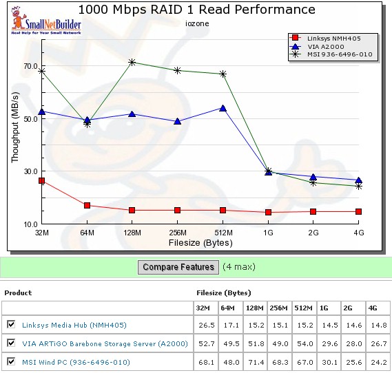 RAID 1 read performance - 1000 Mbps LAN