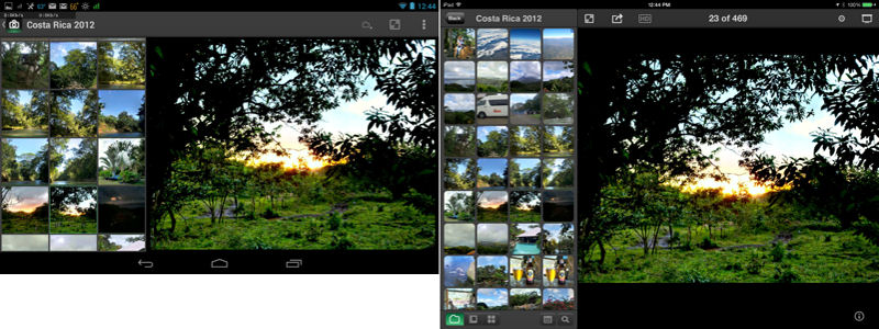 WD Photos folder view for Android (left) and iPad (right)
