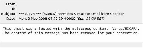 Email virus test result