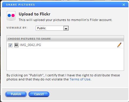 Flickr sharing allows you to upload photos and change who they are viewable by.