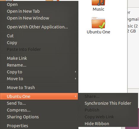 Folder options for ubuntu one are thought out well.