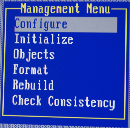 Figure 9: MegaRAID Management menu