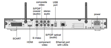 Back Panel