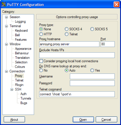 Entering the Client proxy settings