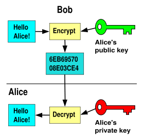 Encryption is not enabled by default on folders, and needs a password set to work.