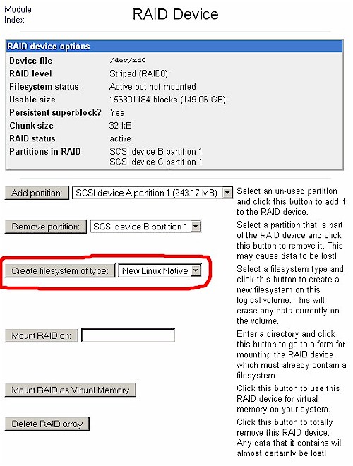 Creating the RAID filesystem