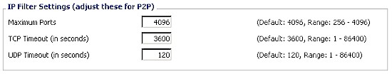 DD-WRT IP Filter settings