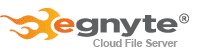 Egnyte logo