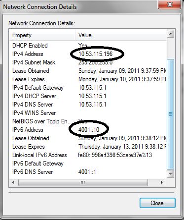 IPv4 and IPv6 addresses via DHCP