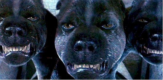 Cerberus
