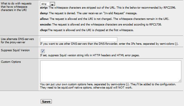 More Squid proxy settings