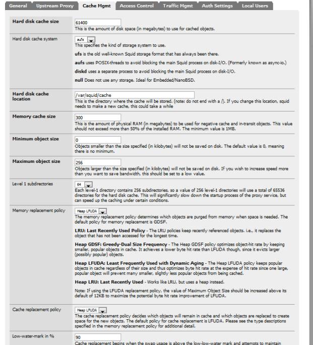 Squid Cache Management settings