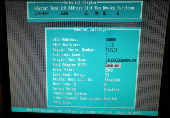QLogic BIOS, Adapter Settings