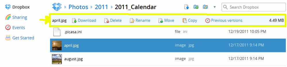 Dropbox Toolbar appears