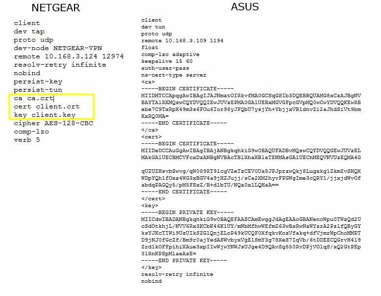 Archivos netgear y asus.opvn en comparación