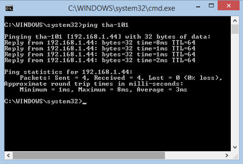 Ping the default host name (THA-101) to determine the IP address