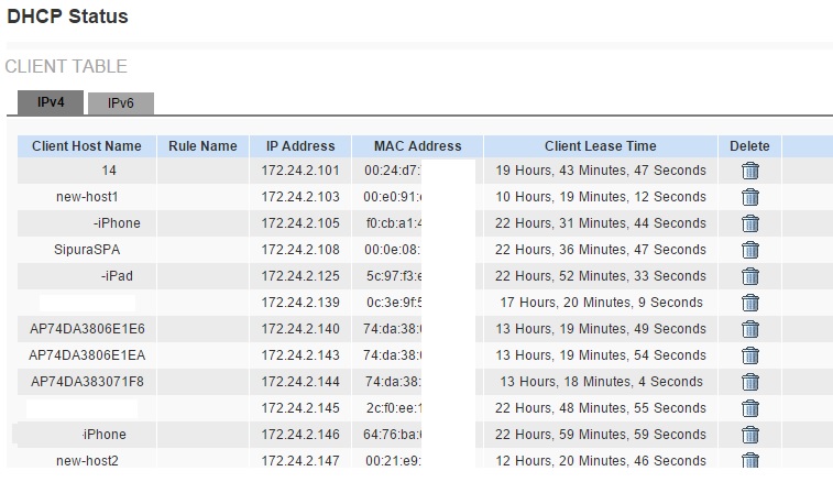 IPv4 DHCP Table