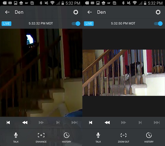 Nest Cam Enhancement Example #2