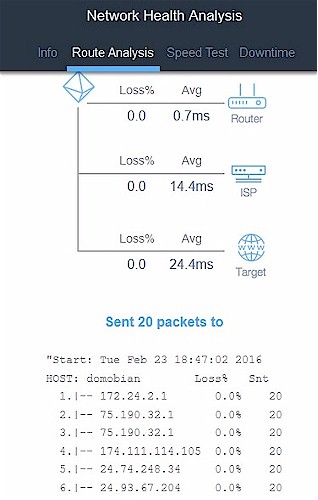 Network Diagnostic Ping