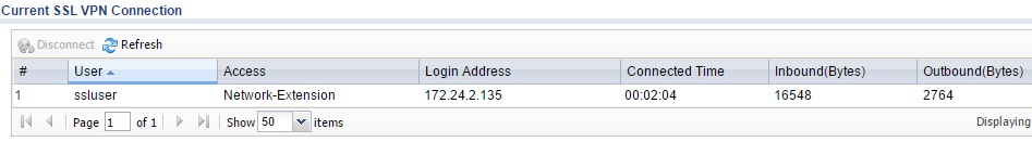 SSL VPN Connection