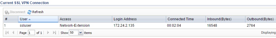 SSL VPN Connection